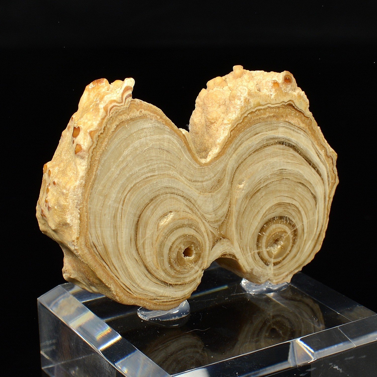 Aragonite - Imilchil, Morocco