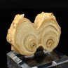 Aragonite - Imilchil, Maroc
