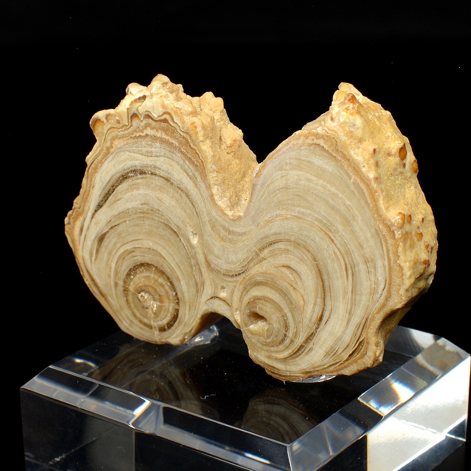 Aragonite - Imilchil, Morocco