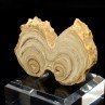 Aragonite - Imilchil, Morocco
