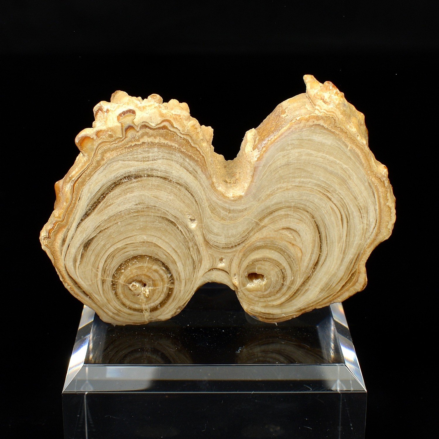 Aragonite - Imilchil, Morocco