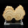 Aragonite - Imilchil, Morocco