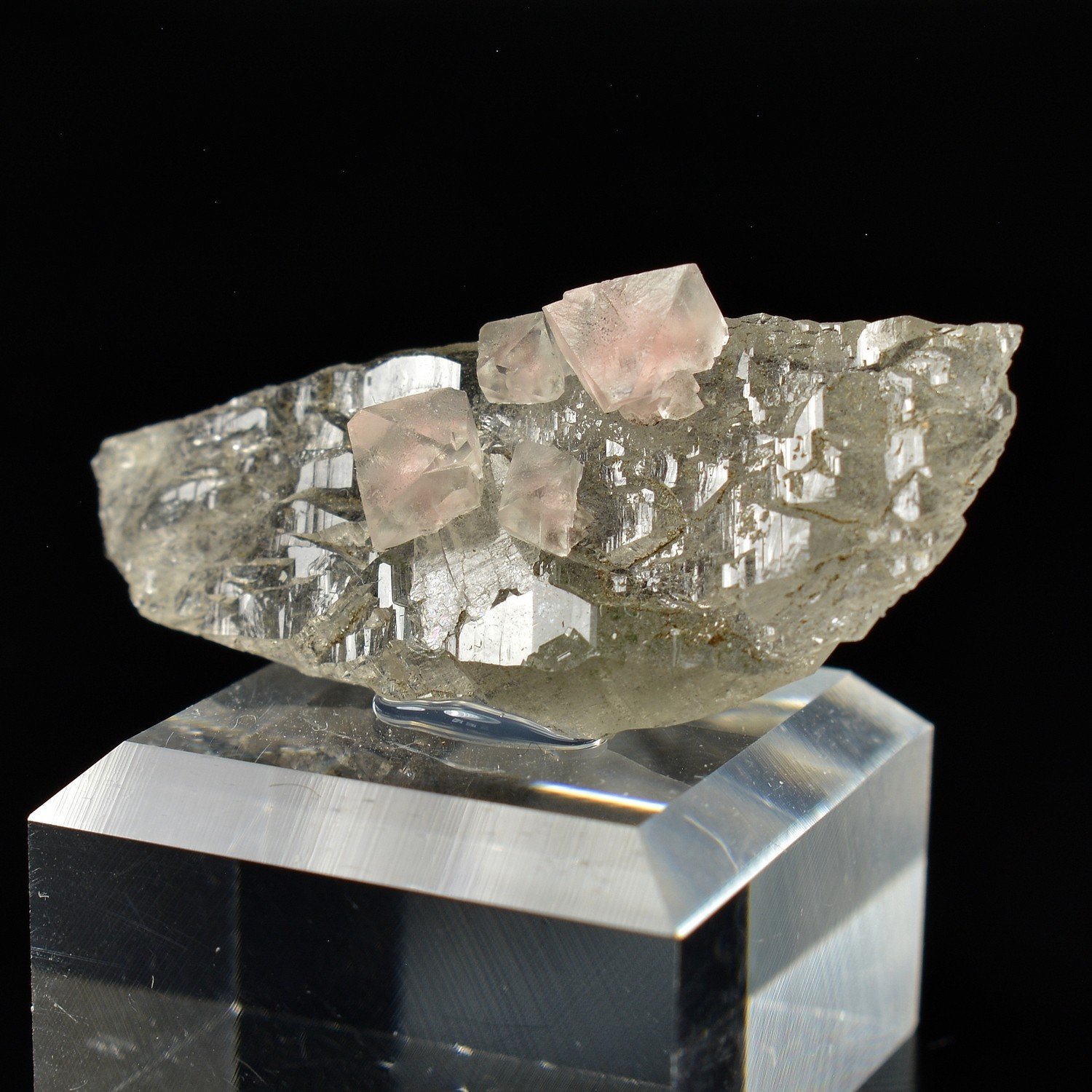 Fluorite rose sur quartz - Aiguille du Moine, Massif du Mont-Blanc, Haute-Savoie, France