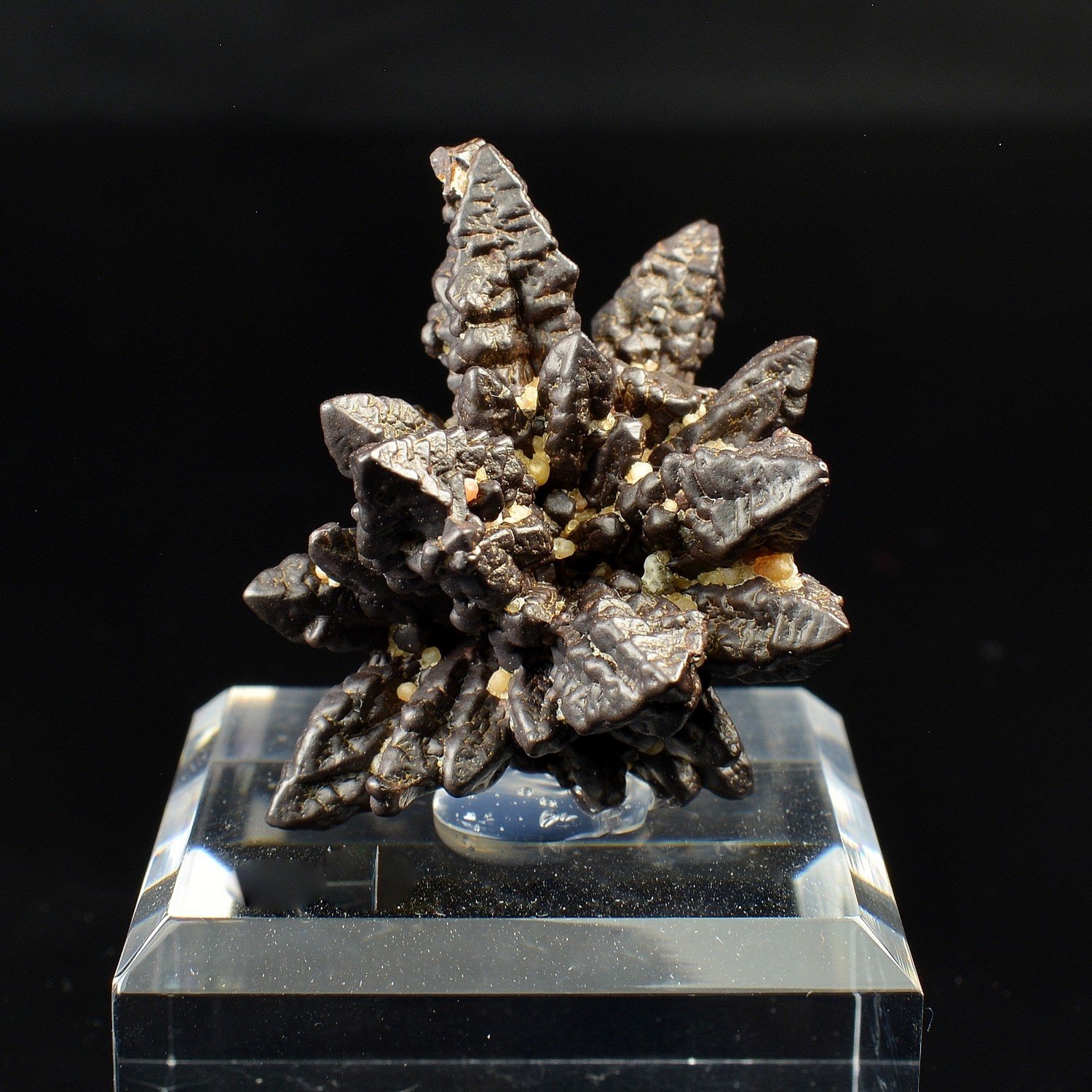 Marcasite pseudomorphosée en limonite - Oasis Farafa, Désert Blanc, Egypte