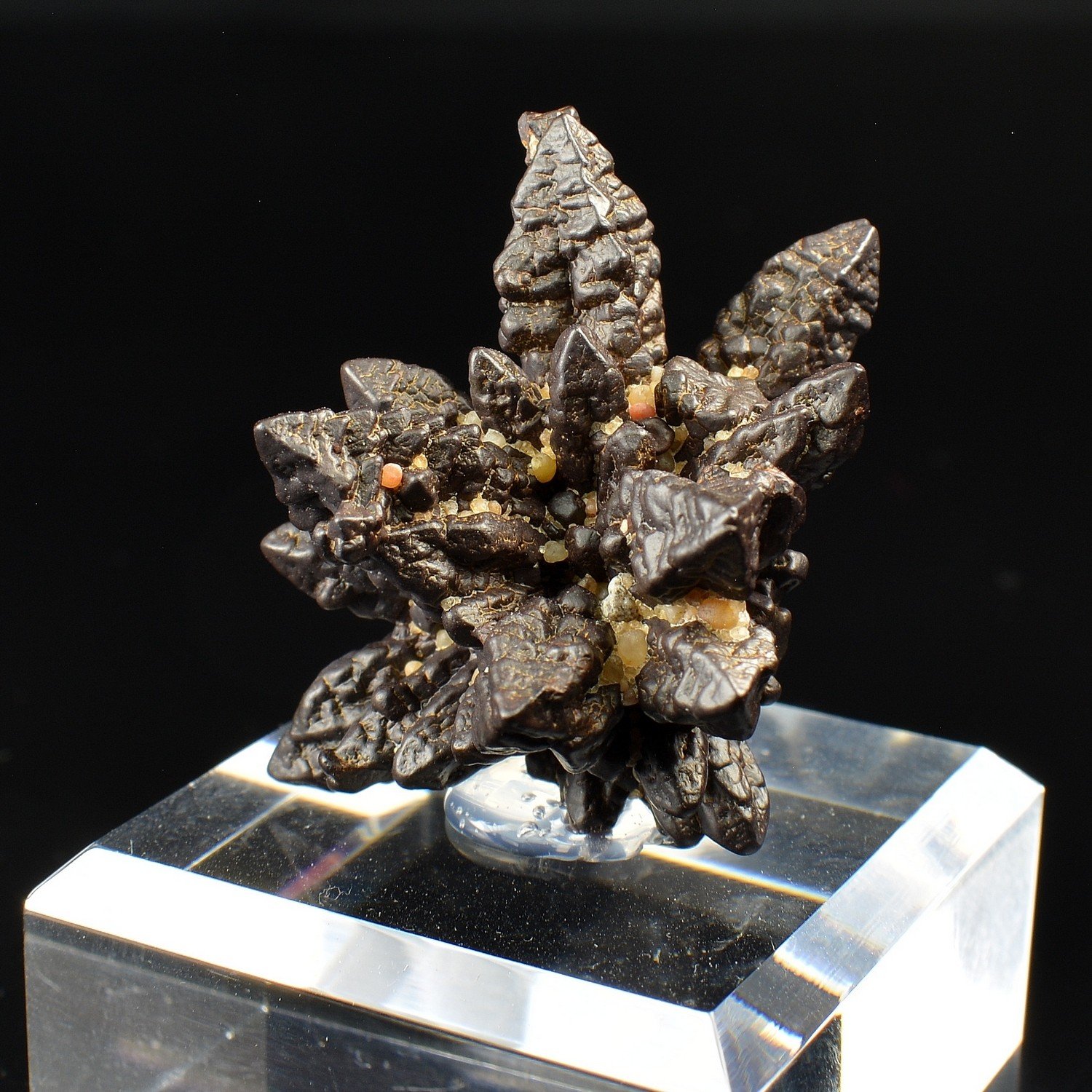 Marcasite pseudomorphosée en limonite - Oasis Farafa, Désert Blanc, Egypte