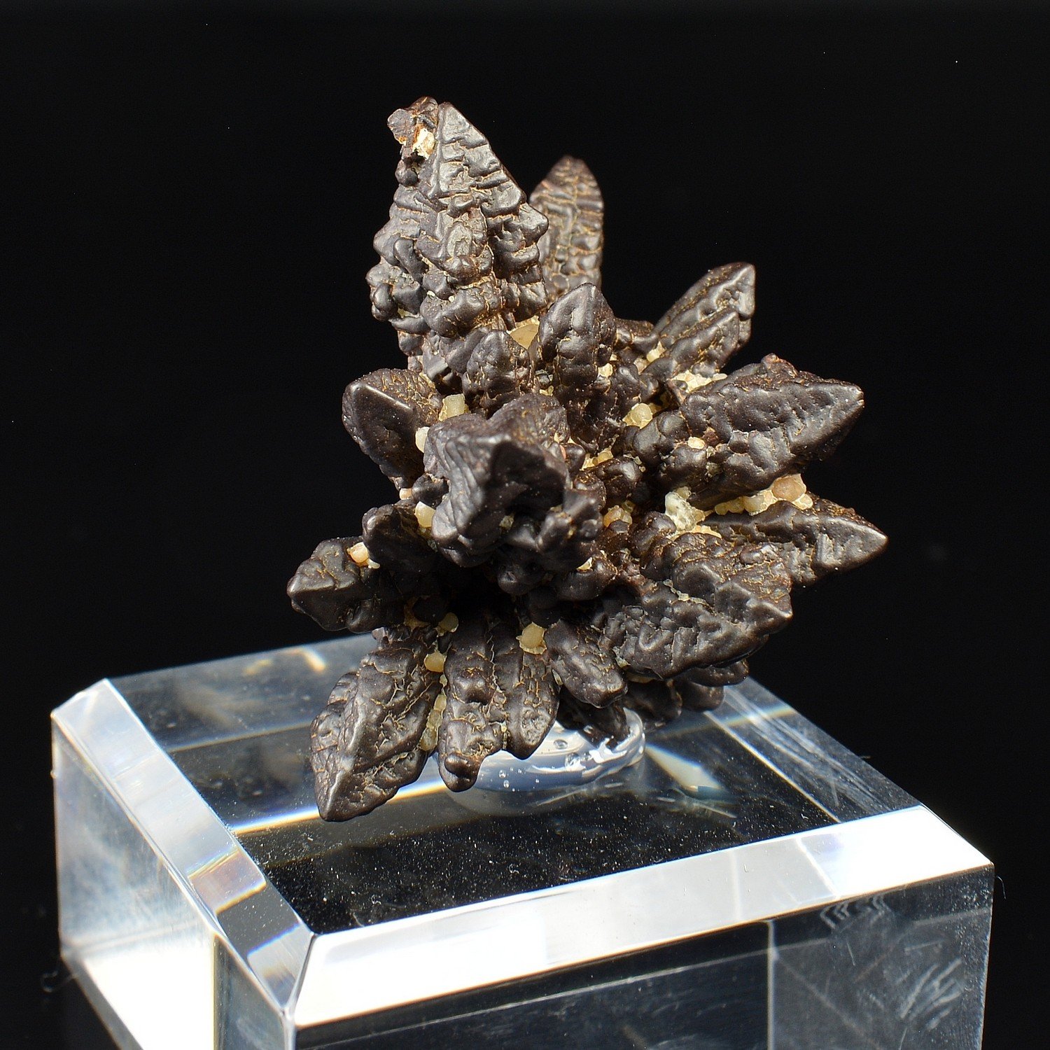 Marcasite pseudomorphosée en limonite - Oasis Farafa, Désert Blanc, Egypte