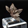 Marcasite pseudomorph of limonite - Farafa Oasis, White Desert, Egypt