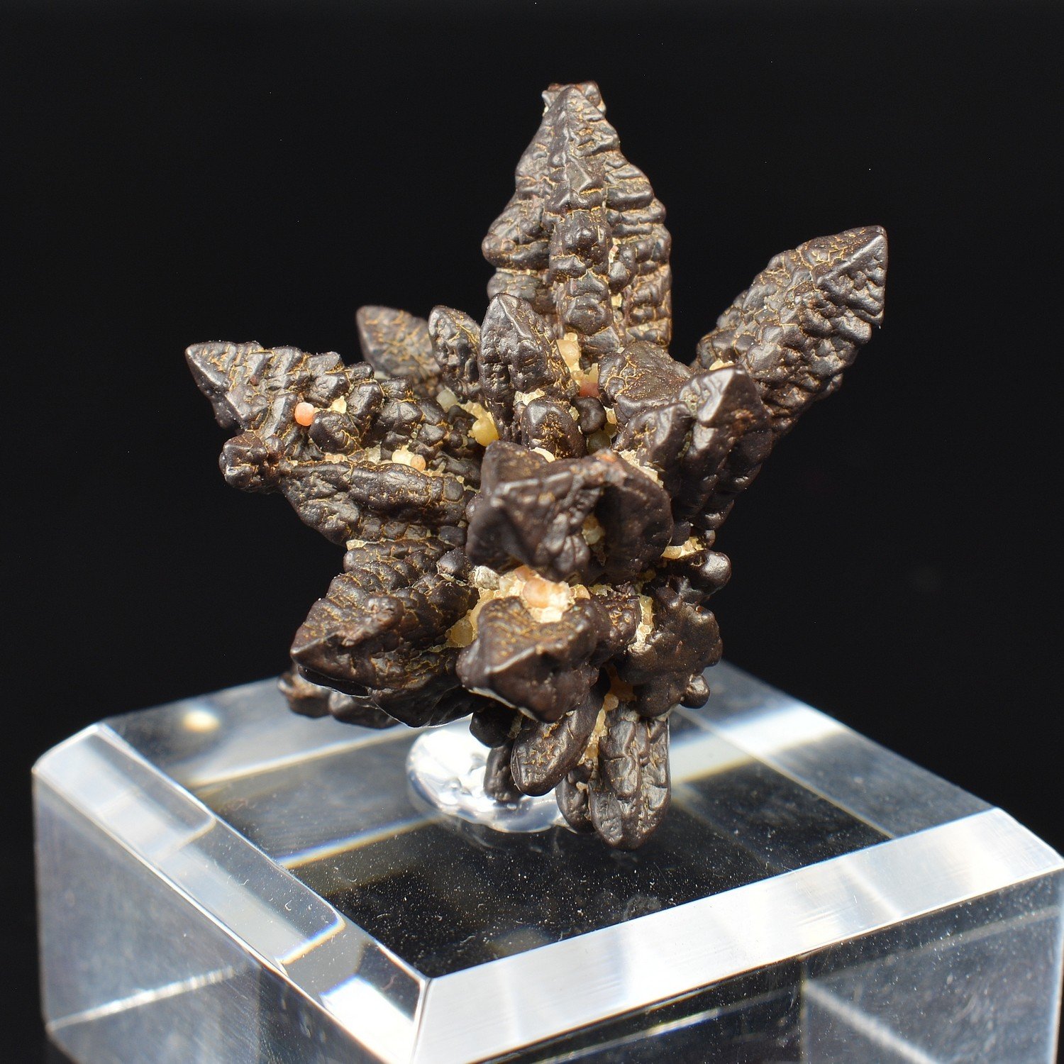 Marcasite pseudomorphosée en limonite - Oasis Farafa, Désert Blanc, Egypte