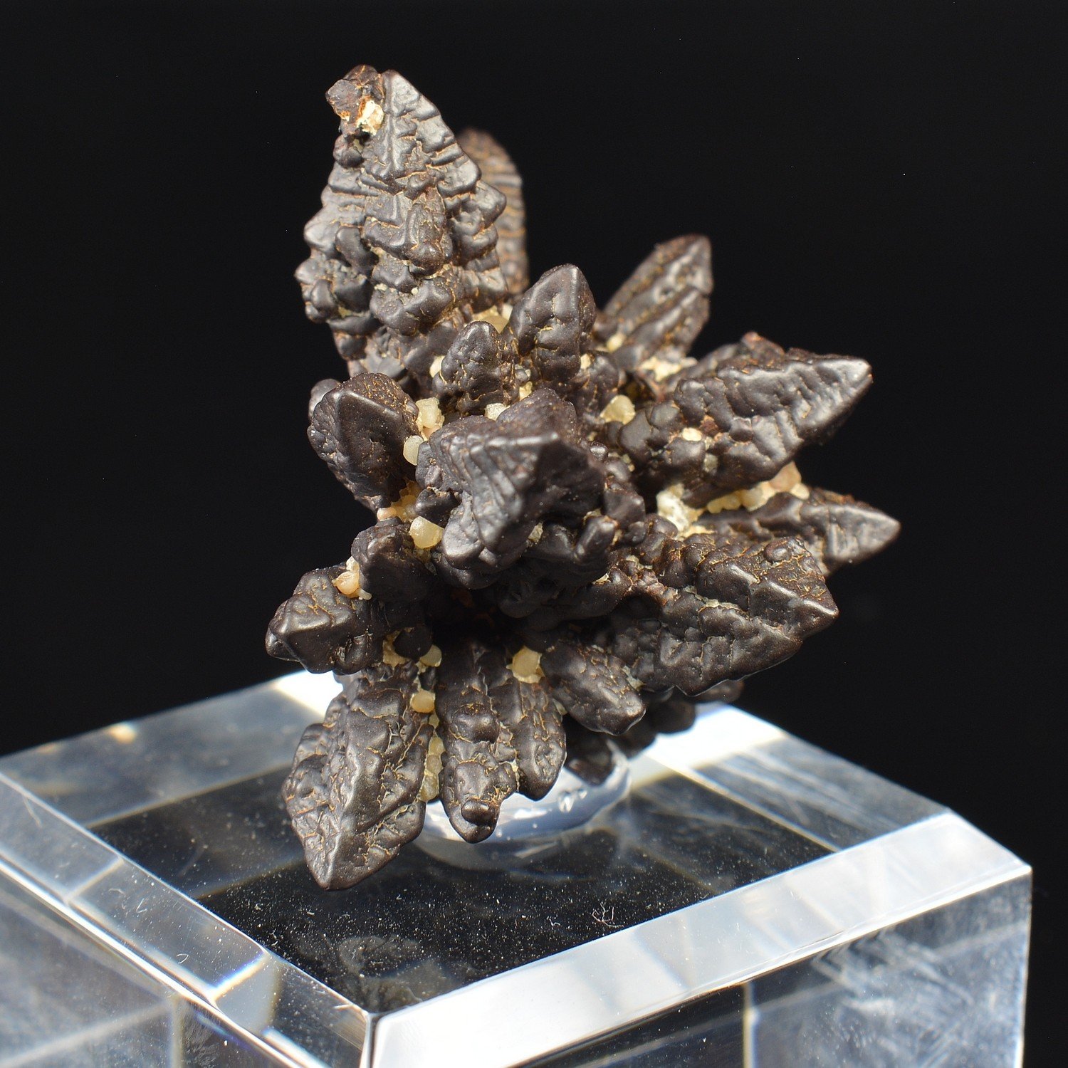 Marcasite pseudomorphosée en limonite - Oasis Farafa, Désert Blanc, Egypte
