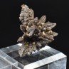 Marcasite pseudomorph of limonite - Farafa Oasis, White Desert, Egypt