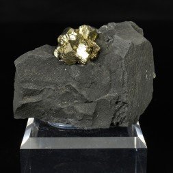 Pyrite - Serre-Ponçon, Hautes-Alpes, France