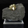 Pyrite - Serre-Ponçon, Hautes-Alpes, France