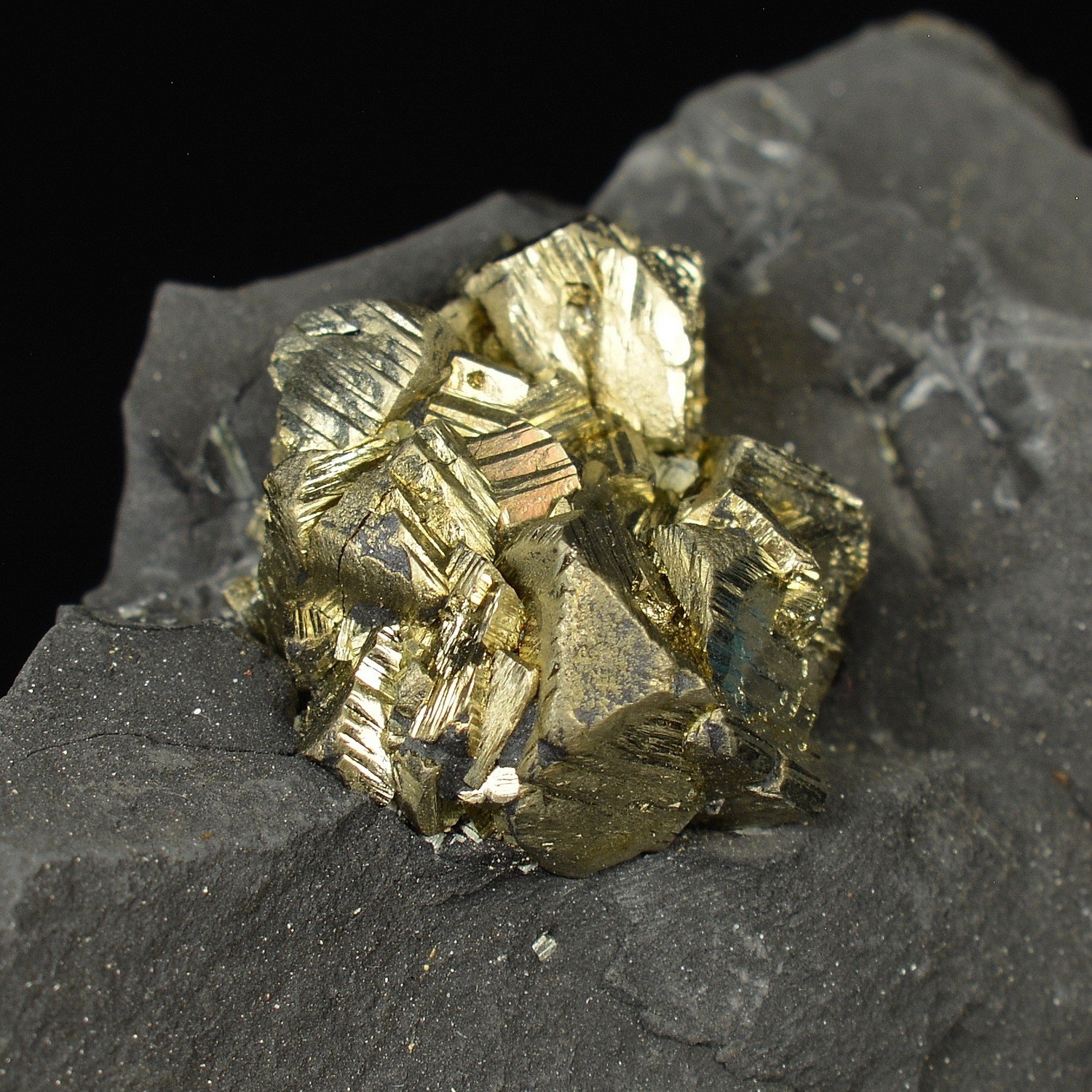 Pyrite - Serre-Ponçon, Hautes-Alpes, France