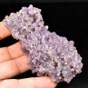 Agate grape - Mamuju, Sulawesi, Indonesia Agate grape - Mamuju, Sulawesi, Indonesia