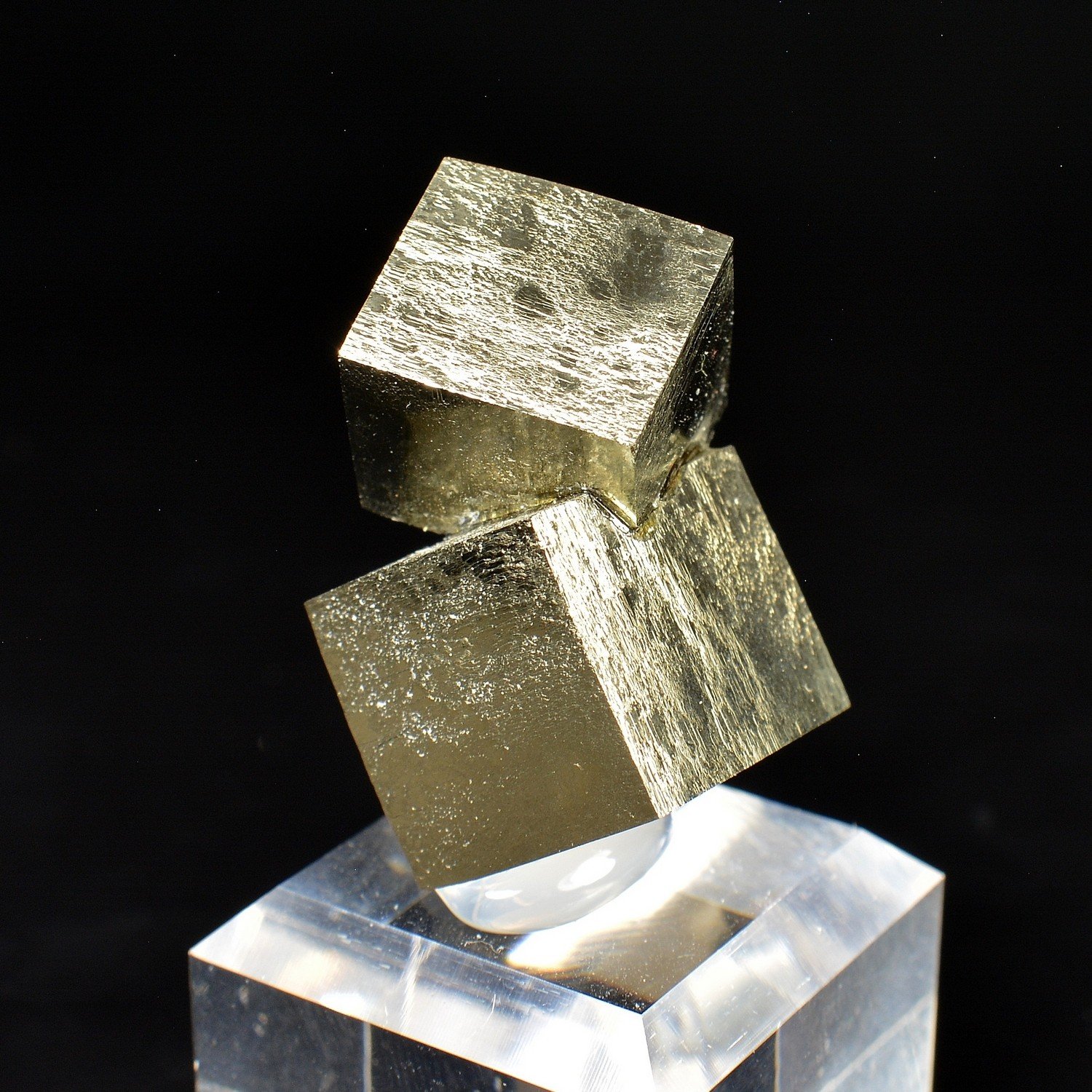 Pyrite - Navajun, La Rioja, Spain