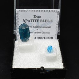 APATITE - DUO Cut Stone and Crystallized Stone