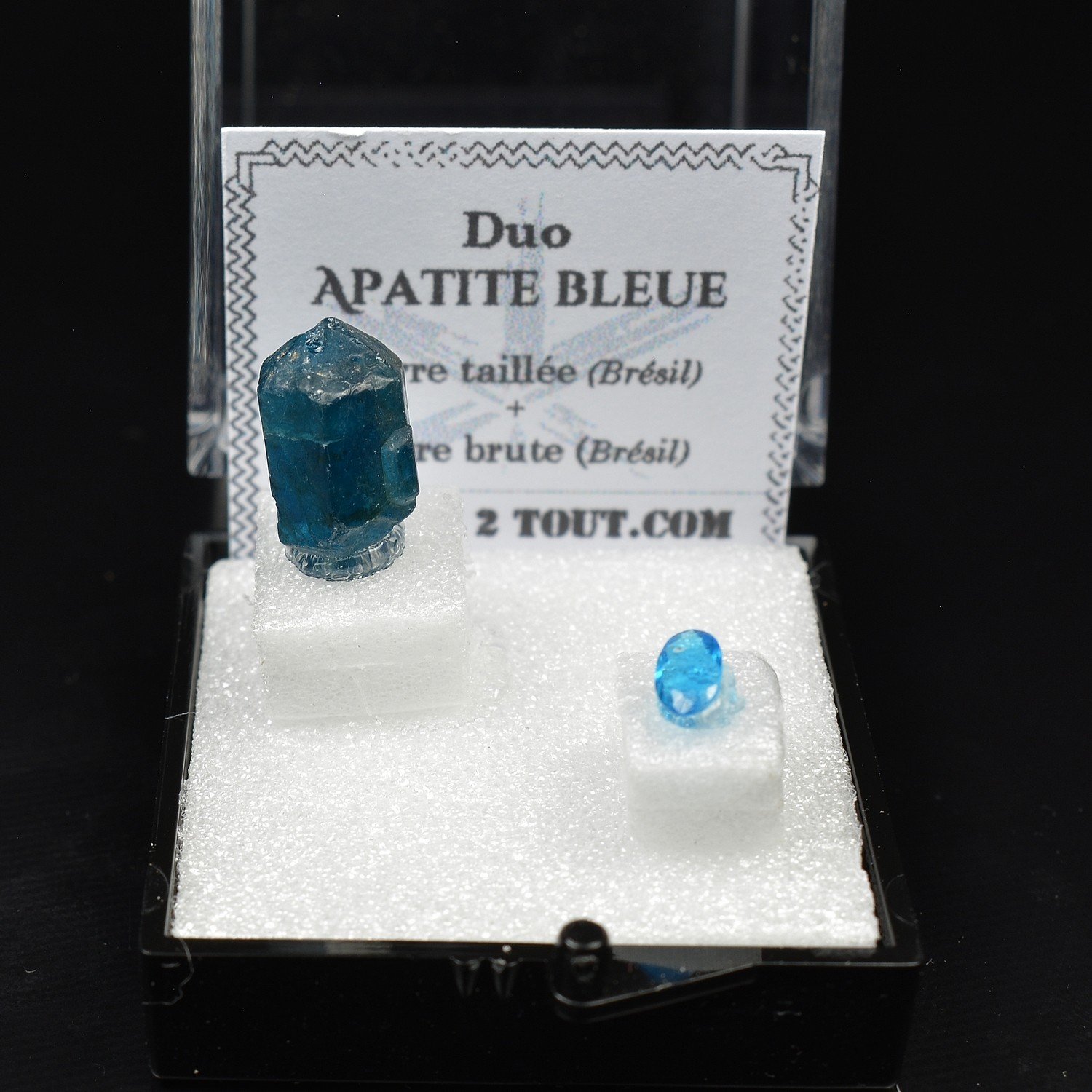 APATITE - DUO Cut Stone and Crystallized Stone APATITE - DUO Cut Stone and Crystallized Stone