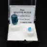 APATITE - DUO Cut Stone and Crystallized Stone APATITE - DUO Cut Stone and Crystallized Stone