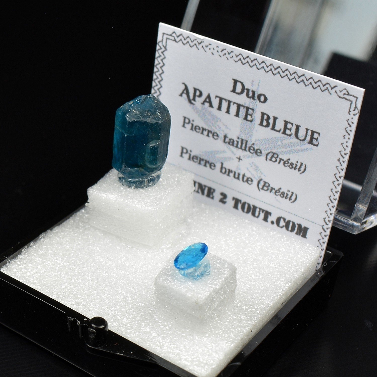 APATITE - DUO Cut Stone and Crystallized Stone APATITE - DUO Cut Stone and Crystallized Stone