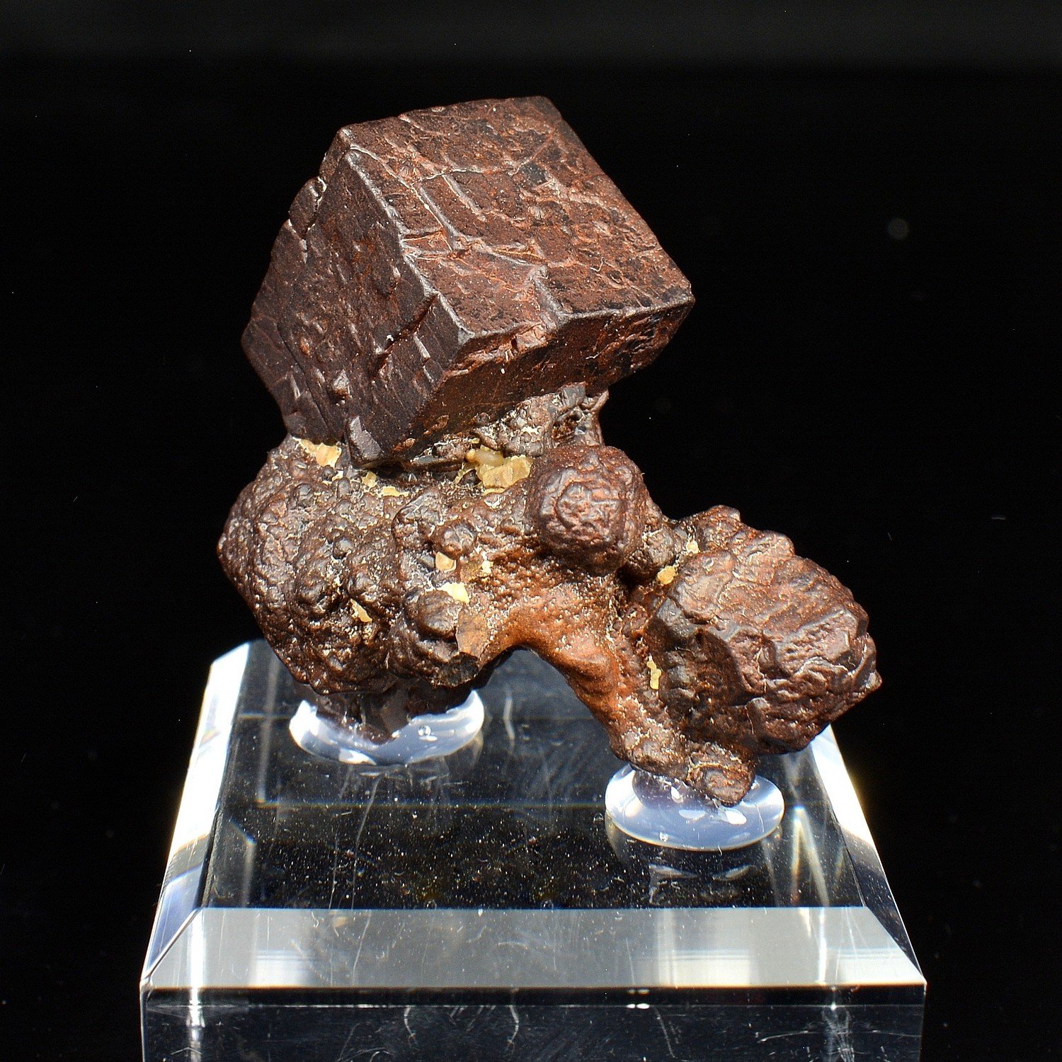 Pyrite pseudomorph in limonite - Farafa Oasis, White Desert, Egypt