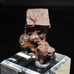 Pyrite pseudomorph in limonite - Farafa Oasis, White Desert, Egypt