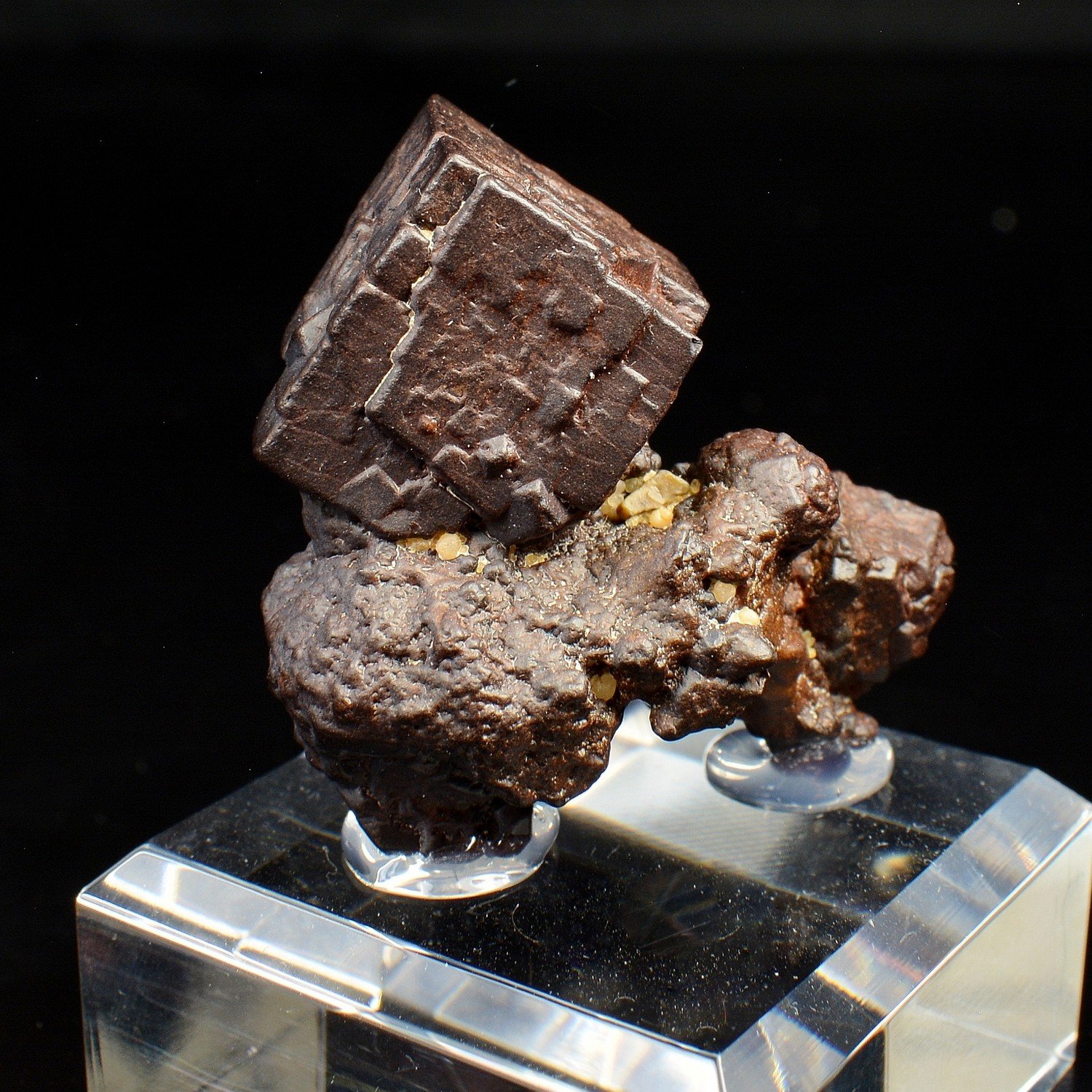 Pyrite psm en limonite - Oasis Farafa, Désert Blanc, Egypte Pyrite psm en limonite - Oasis Farafa, Désert Blanc, Egypte