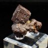Pyrite pseudomorph in limonite - Farafa Oasis, White Desert, Egypt