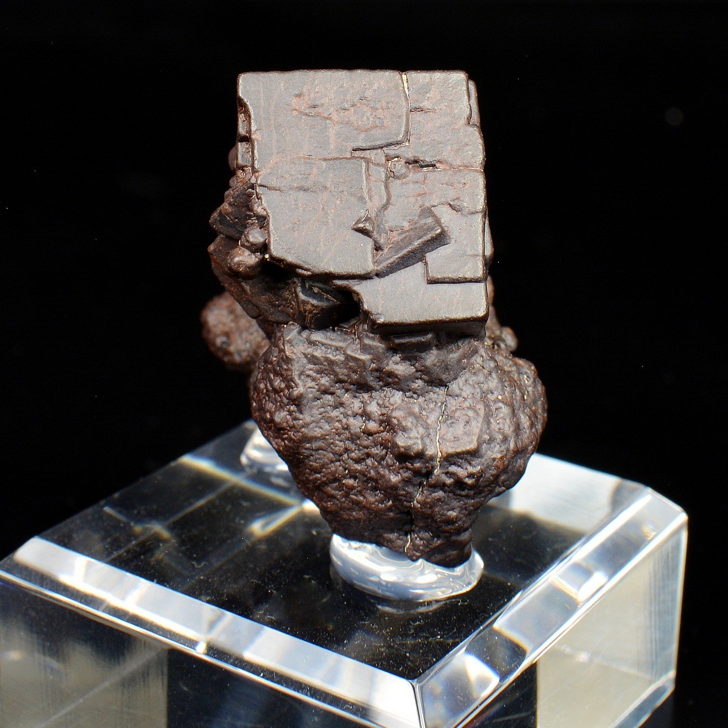 Pyrite pseudomorph in limonite - Farafa Oasis, White Desert, Egypt