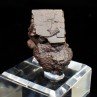 Pyrite pseudomorph in limonite - Farafa Oasis, White Desert, Egypt