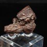 Pyrite pseudomorph in limonite - Farafa Oasis, White Desert, Egypt