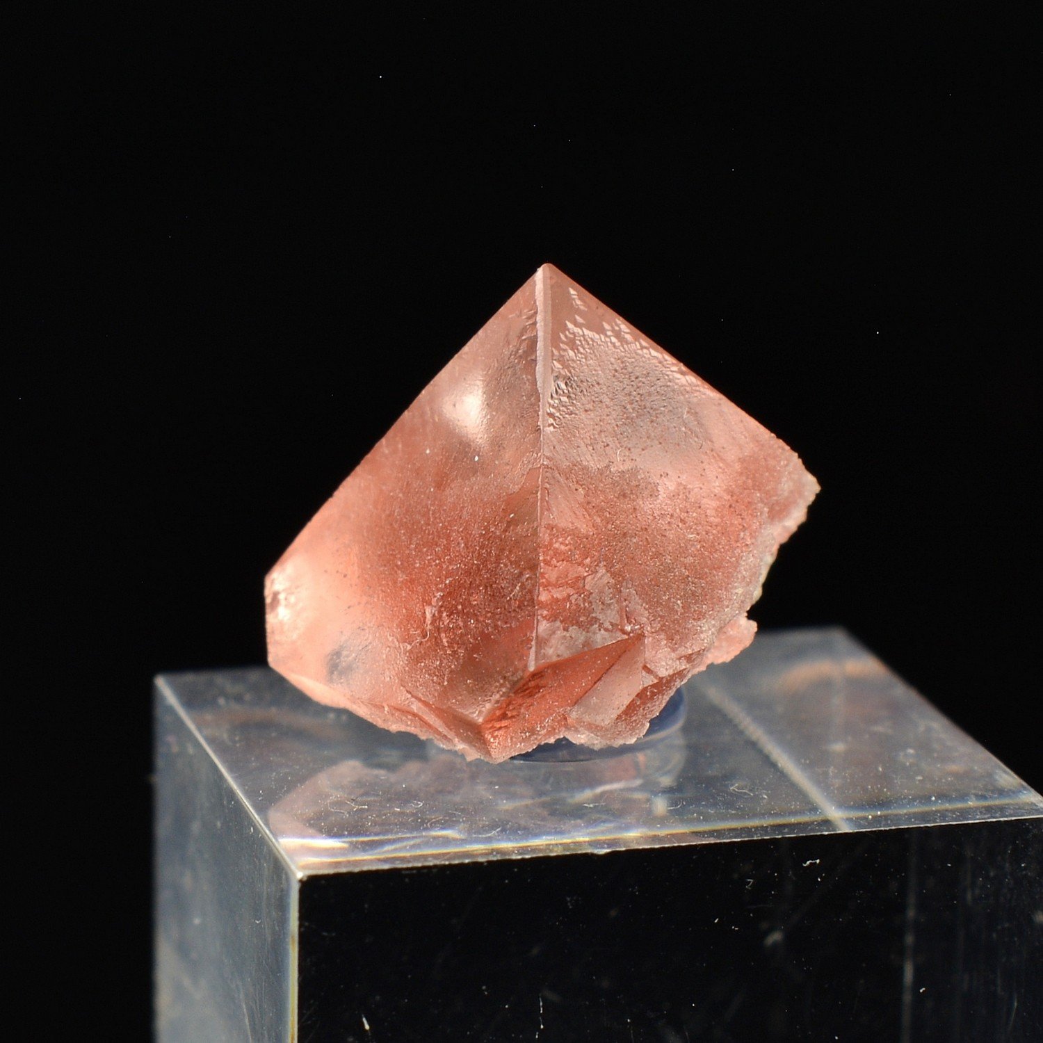 Pink Fluorite - Aiguille du Moine, Haute-Savoie, France Pink Fluorite - Aiguille du Moine, Haute-Savoie, France
