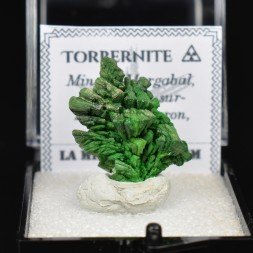 Torbernite - Margabal, Aveyron, France