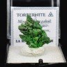 Torbernite - Margabal, Aveyron, France