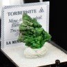 Torbernite - Margabal, Aveyron, France