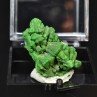 Torbernite - Margabal, Entraygues-sur-Truyères, Aveyron, France