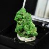 Torbernite - Margabal, Entraygues-sur-Truyères, Aveyron, France