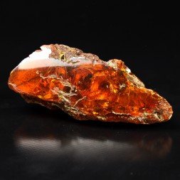 Ambre - Chevrière, Oise, France
