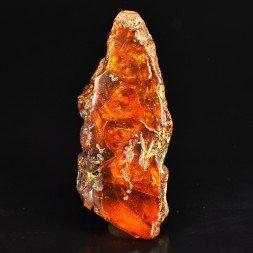 Ambre - Chevrière, Oise, France