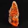 Amber - Chevrière, Oise, France