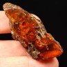 Amber - Chevrière, Oise, France