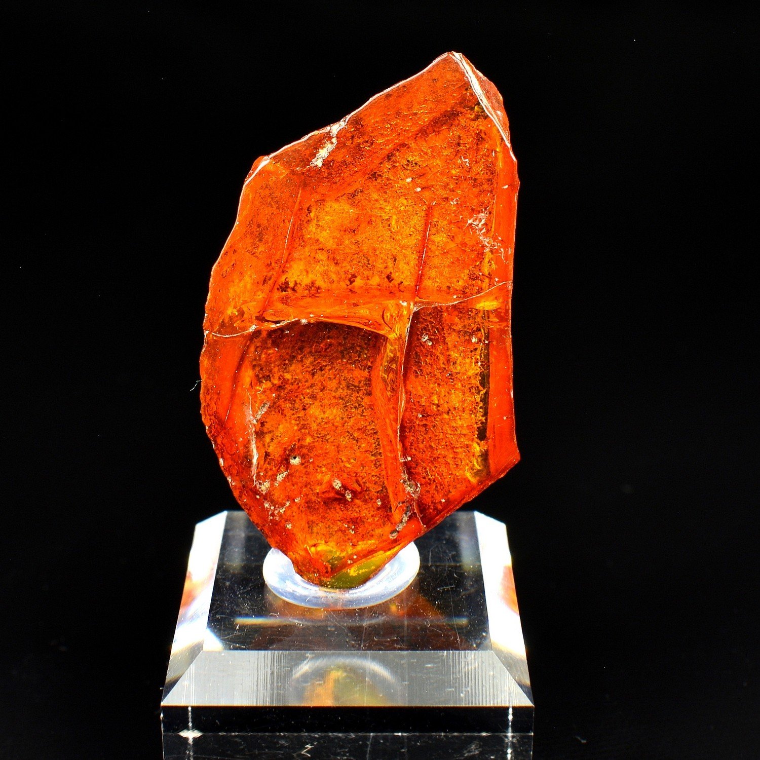 Amber - Chevrières, Oise, France Amber - Chevrières, Oise, France