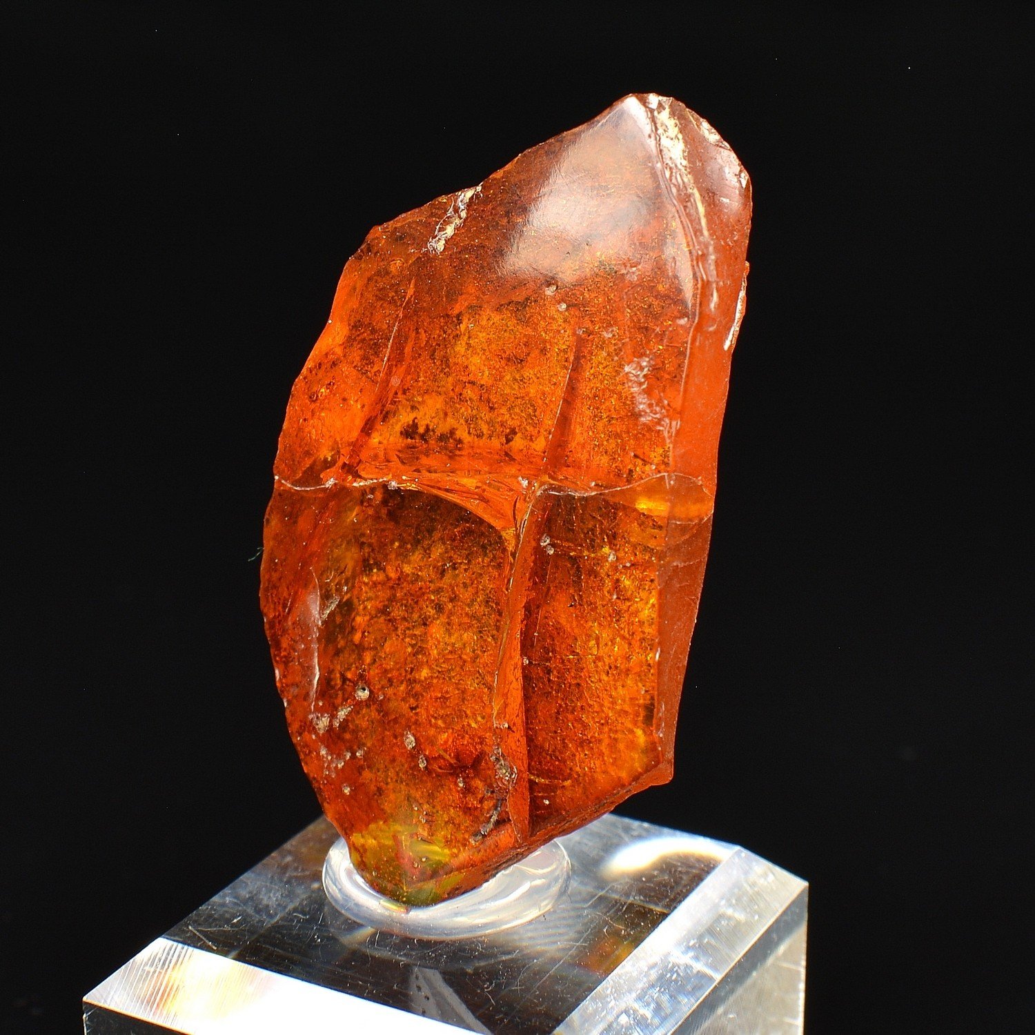 Amber - Chevrières, Oise, France Amber - Chevrières, Oise, France