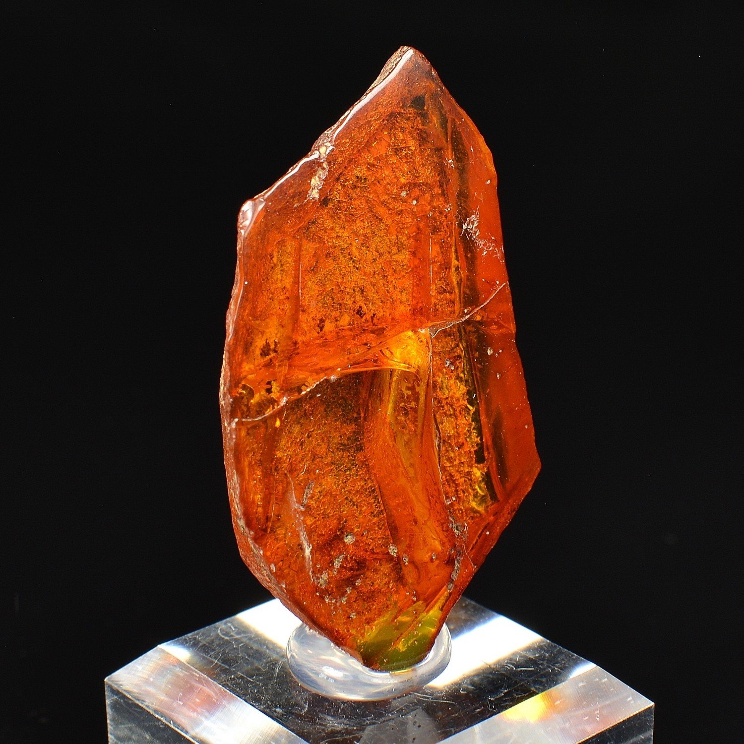 Ambre - Chevrières, Oise, France