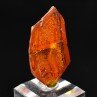 Ambre - Chevrières, Oise, France