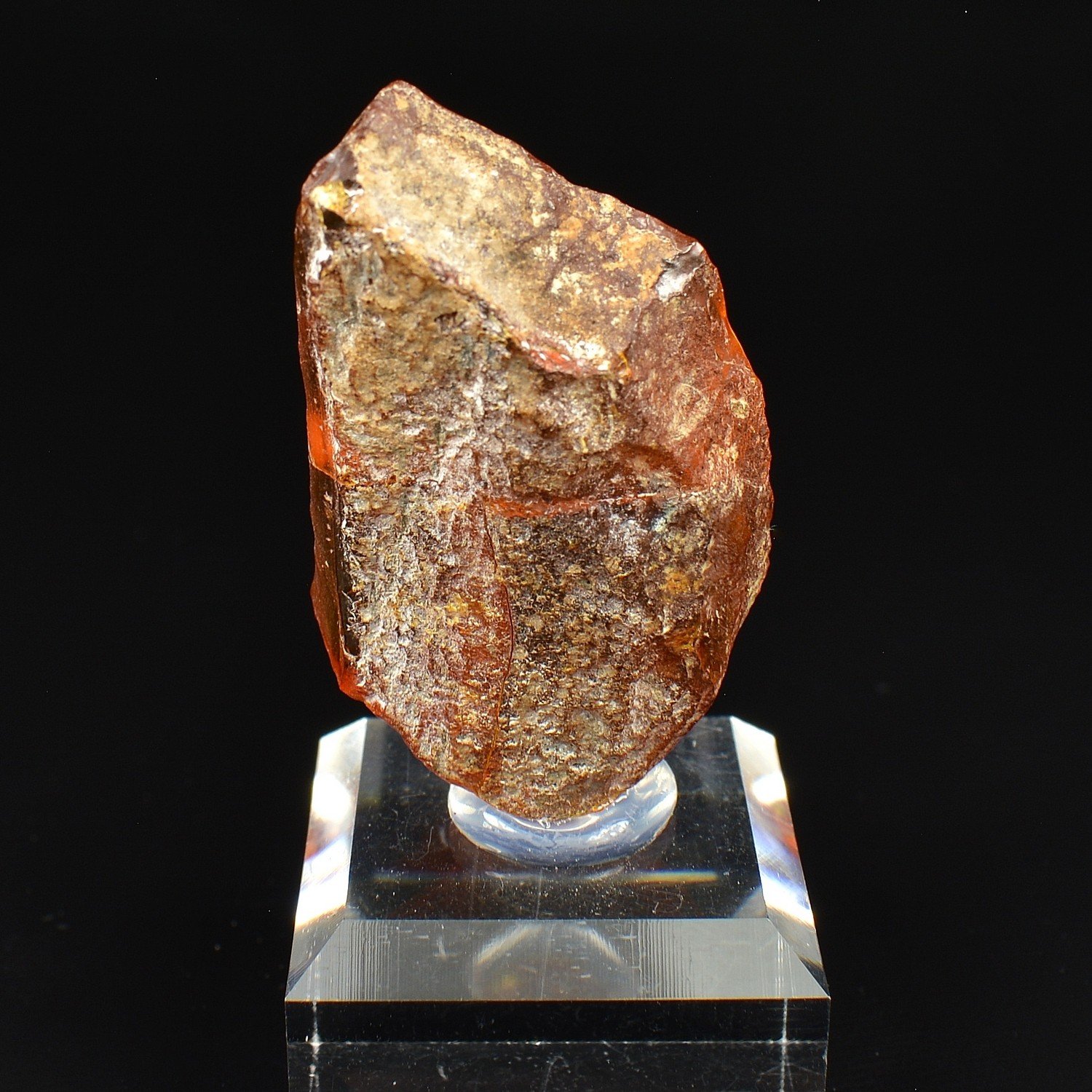 Ambre - Chevrières, Oise, France