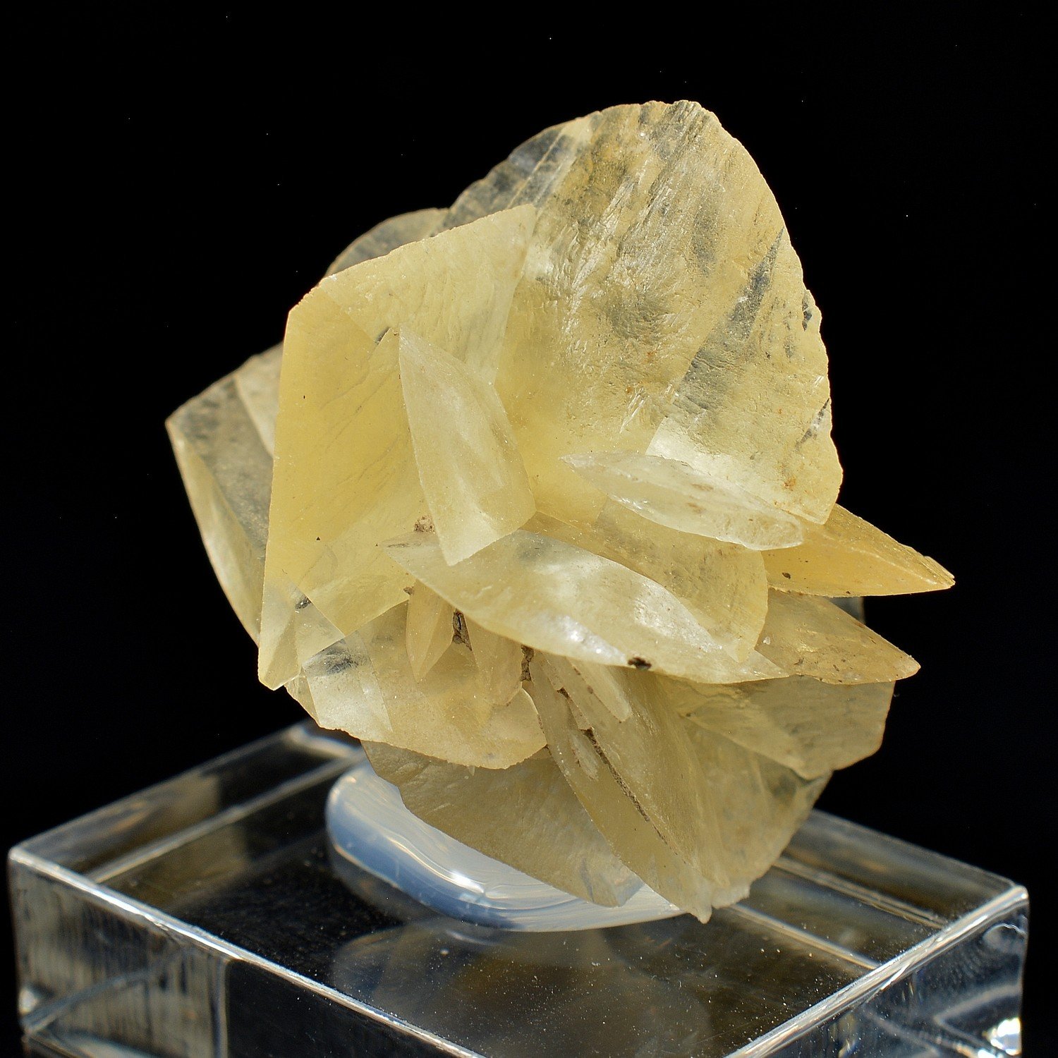 Gypsum - Fuentes de Ebro, Zaragoza, Aragon, Spain