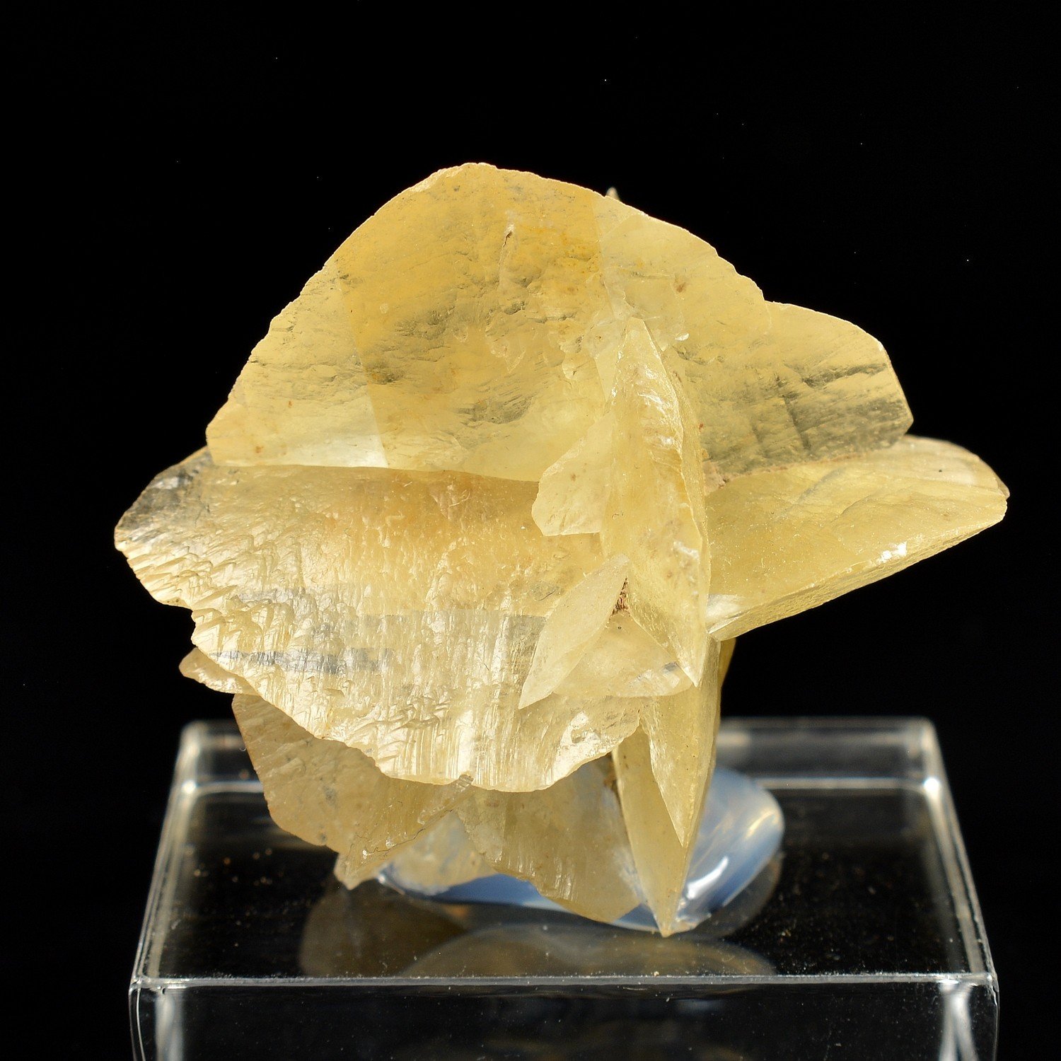 Gypsum - Fuentes de Ebro, Zaragoza, Aragon, Spain