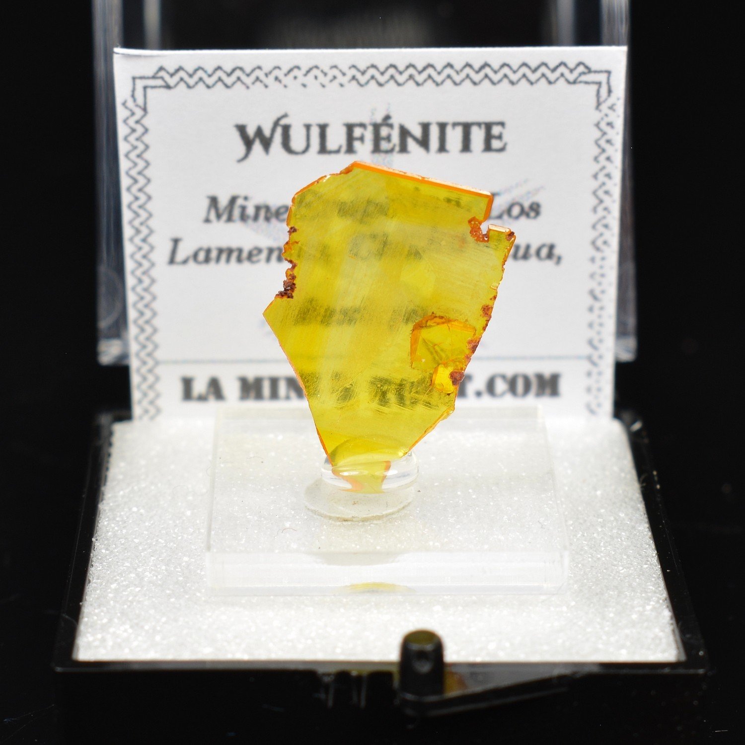 Wulfénite - Mine Erupcion, Los Lamentos, Mexique