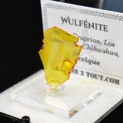 Wulfenite - Erupcion Mine, Los Lamentos, Mexico
