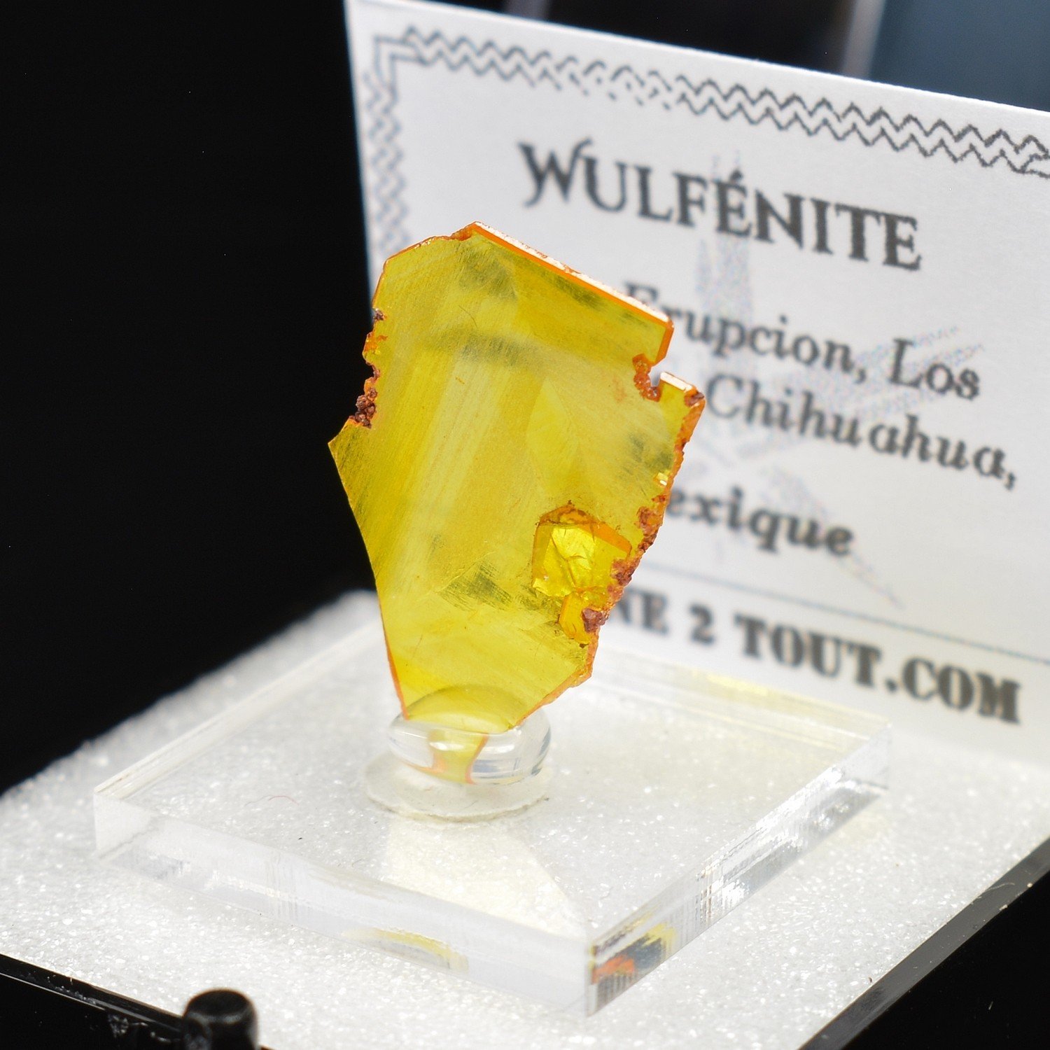 Wulfenite - Erupcion Mine, Los Lamentos, Mexico